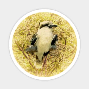 Laughing kookaburra Magnet